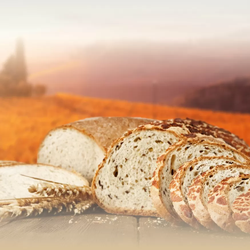 Pan con un campo de trigo al fondo